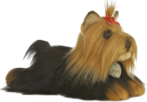 11" Yorkshire Terrier