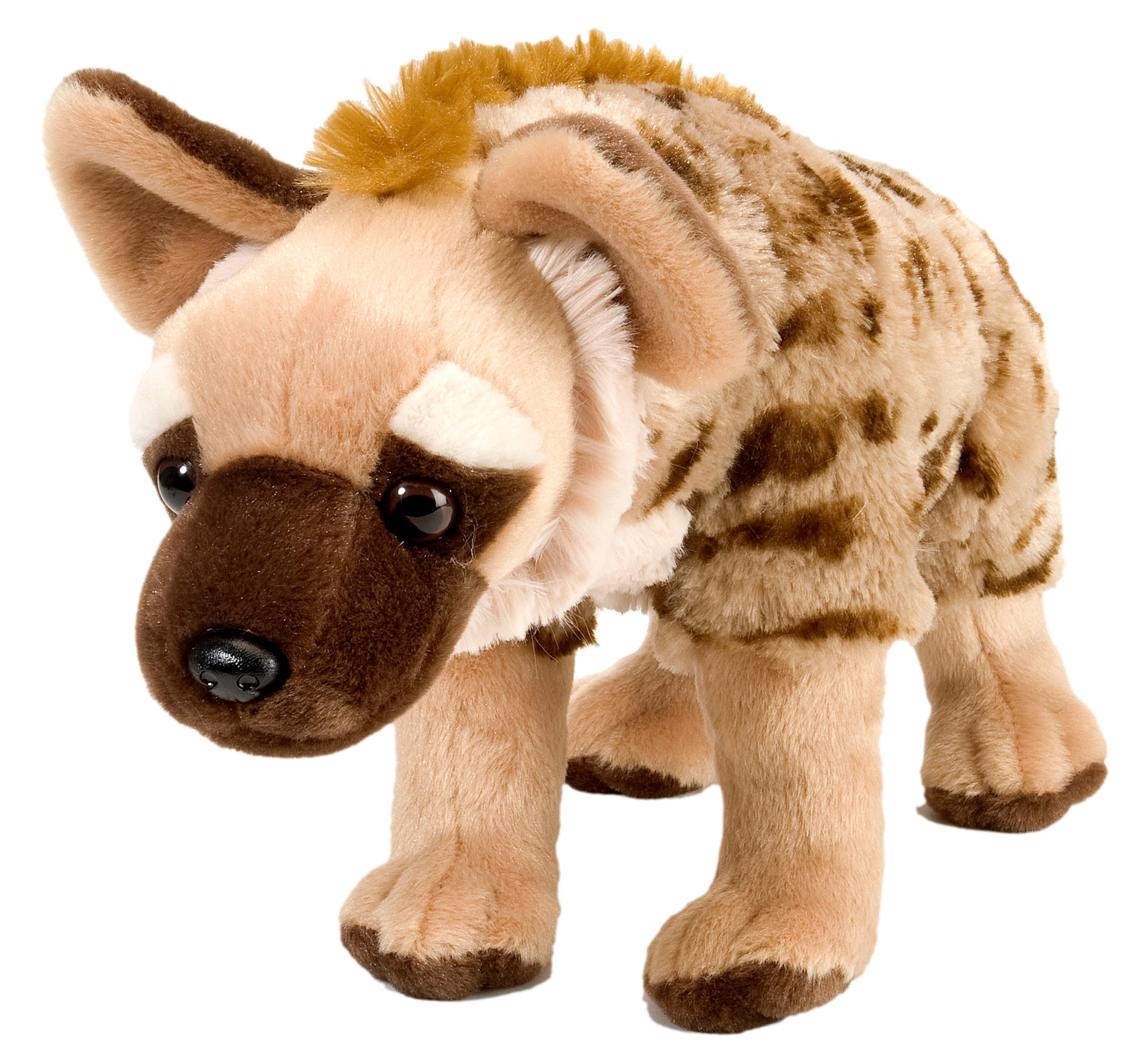 Ck Hyena