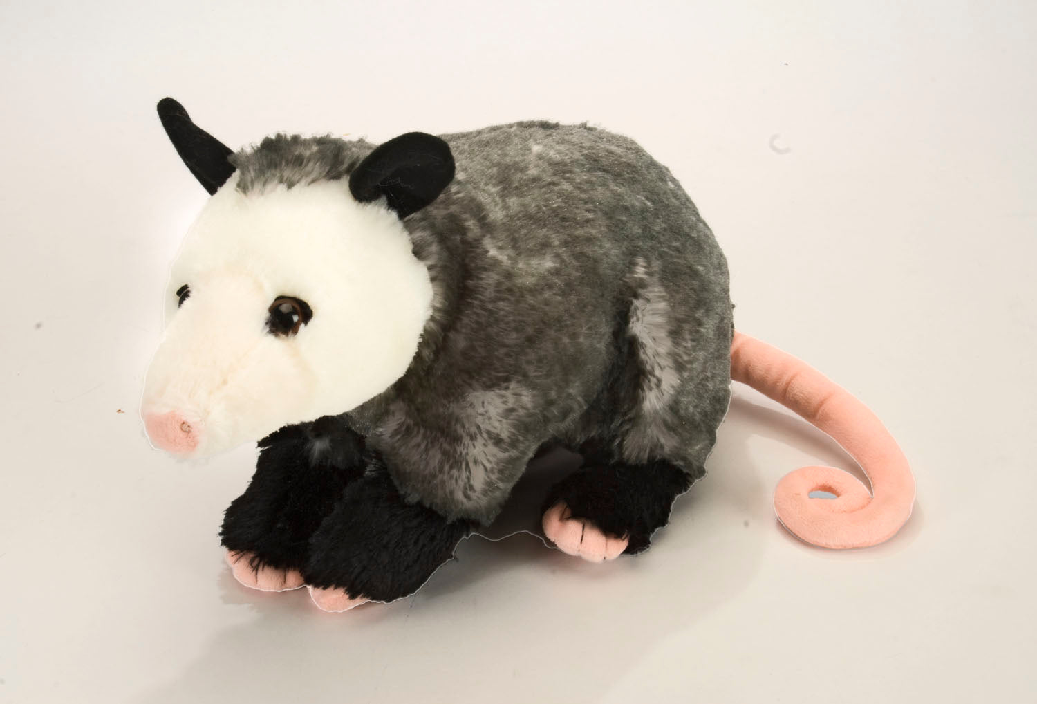 Ck Opossum