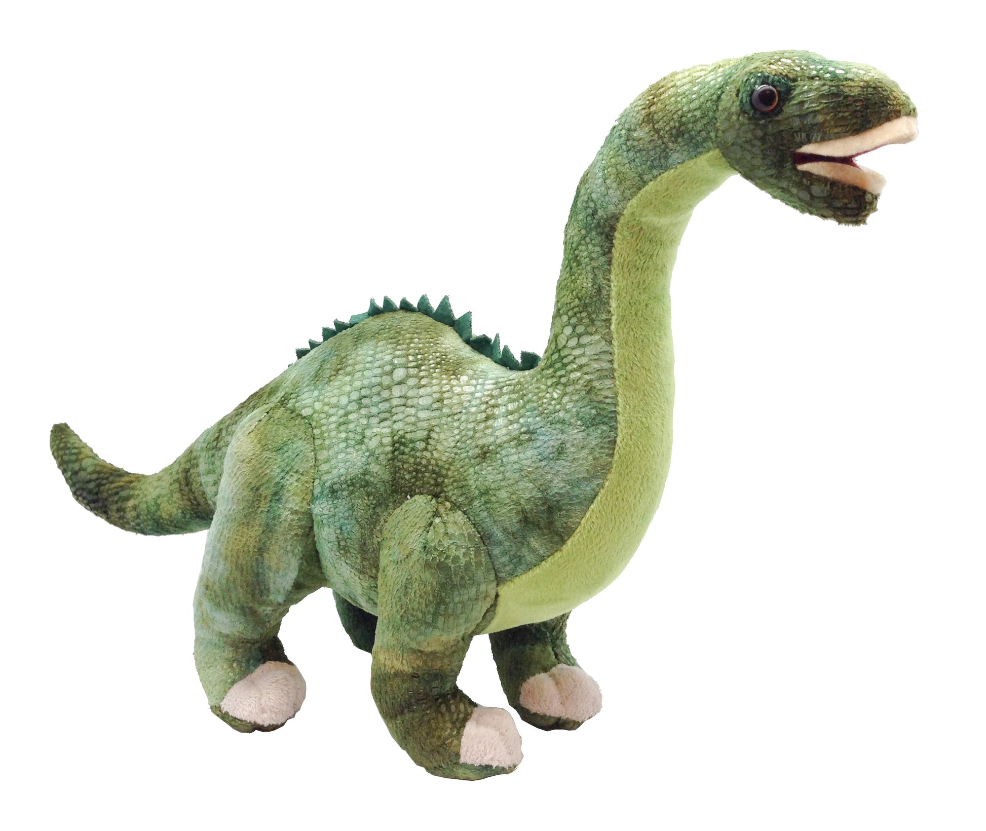 Dinosauria Ii Diplodocus