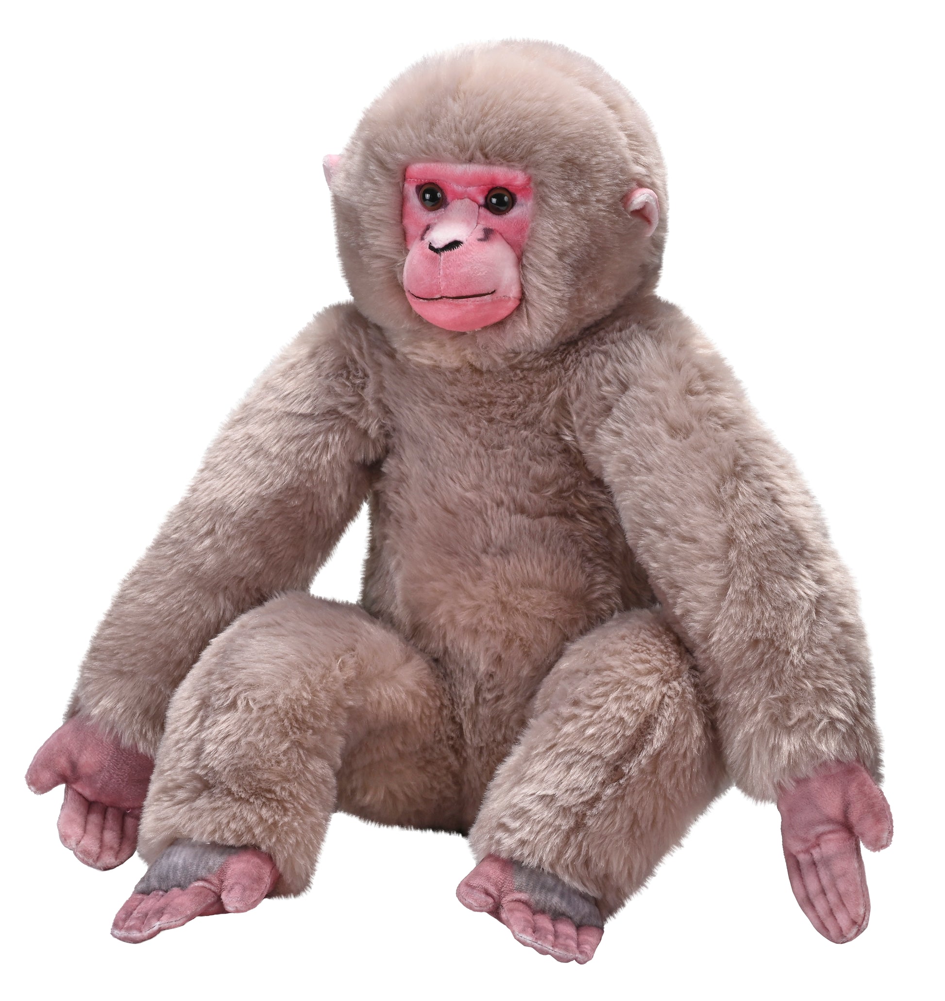 Artist Japanese Macaque