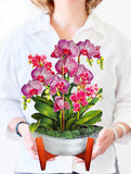 Orchid Oasis Pop-Up Flower Bouquet