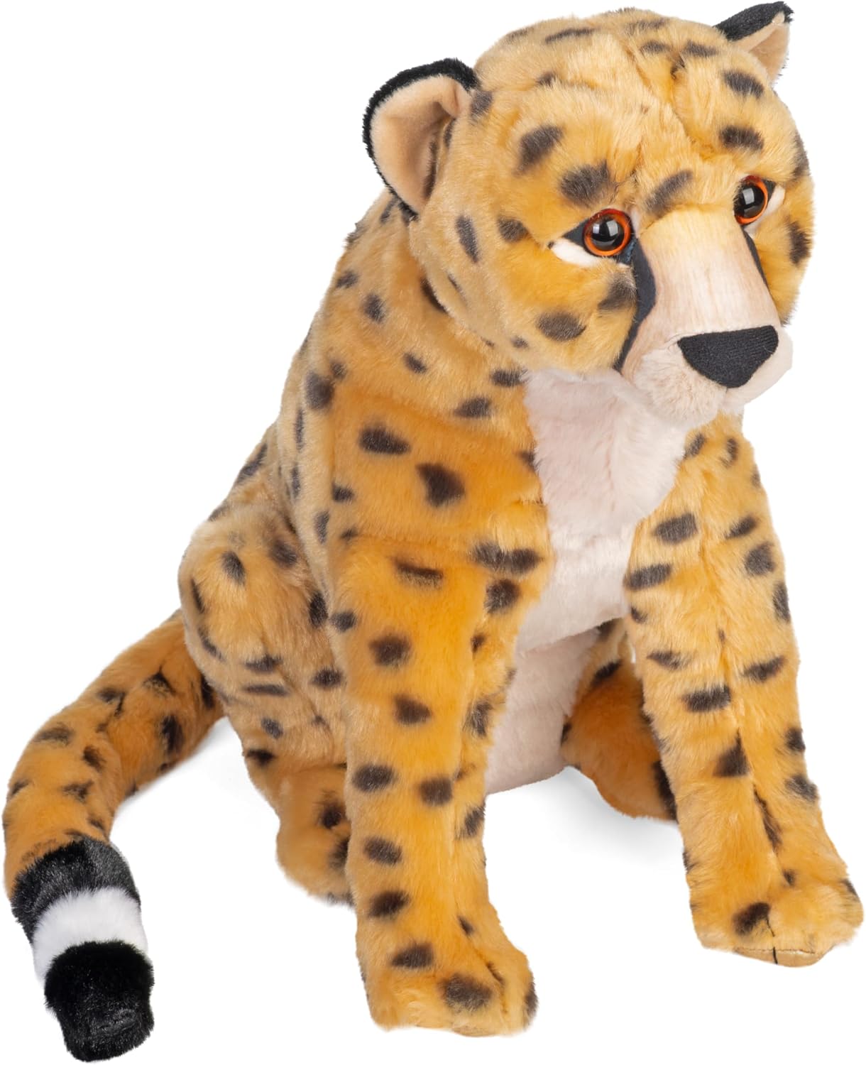 Artist Cheetah