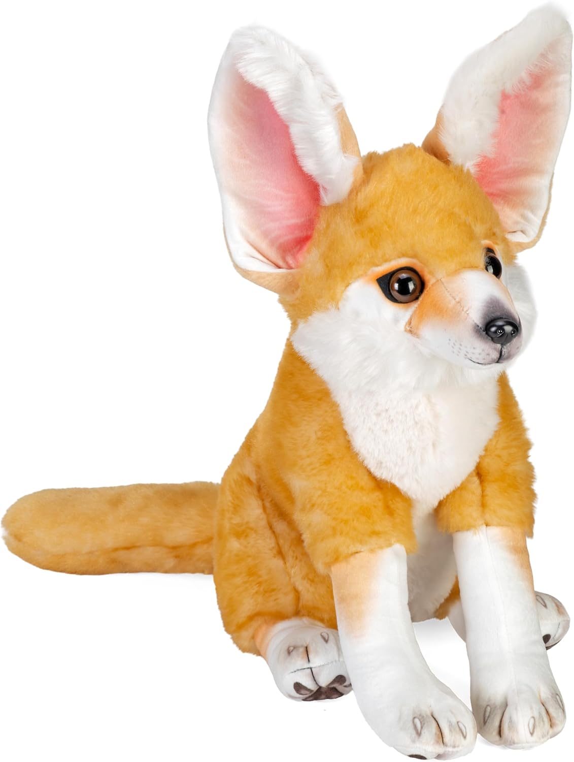Artist Fennec Fox