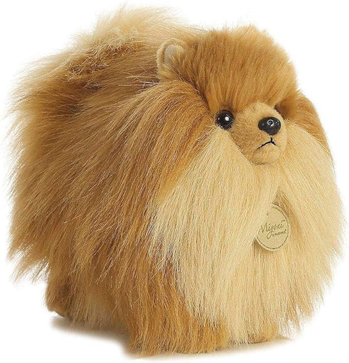 9" Pomeranian