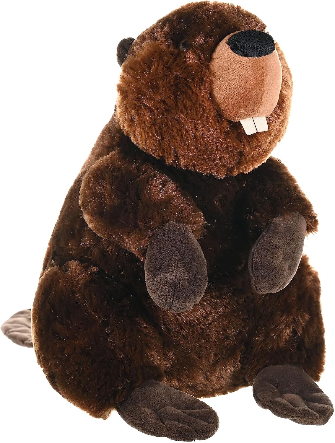 CK Beaver
