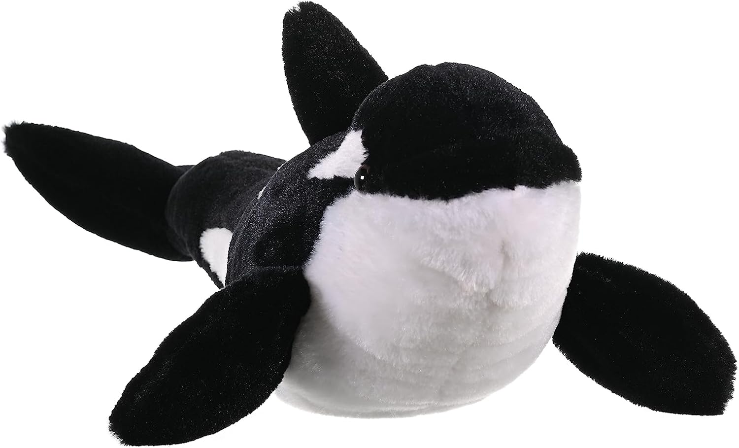 CK Orca
