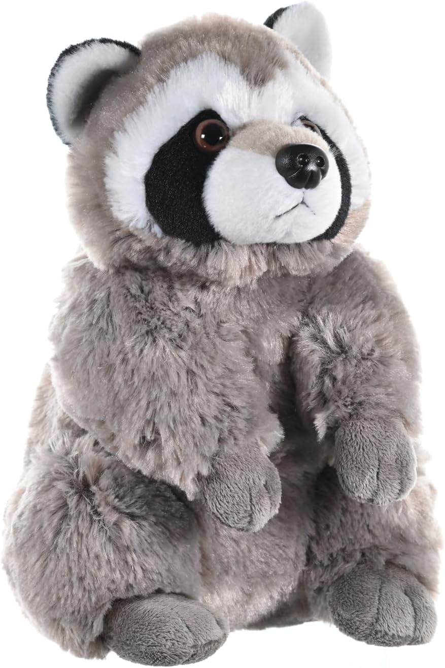 CK Raccoon