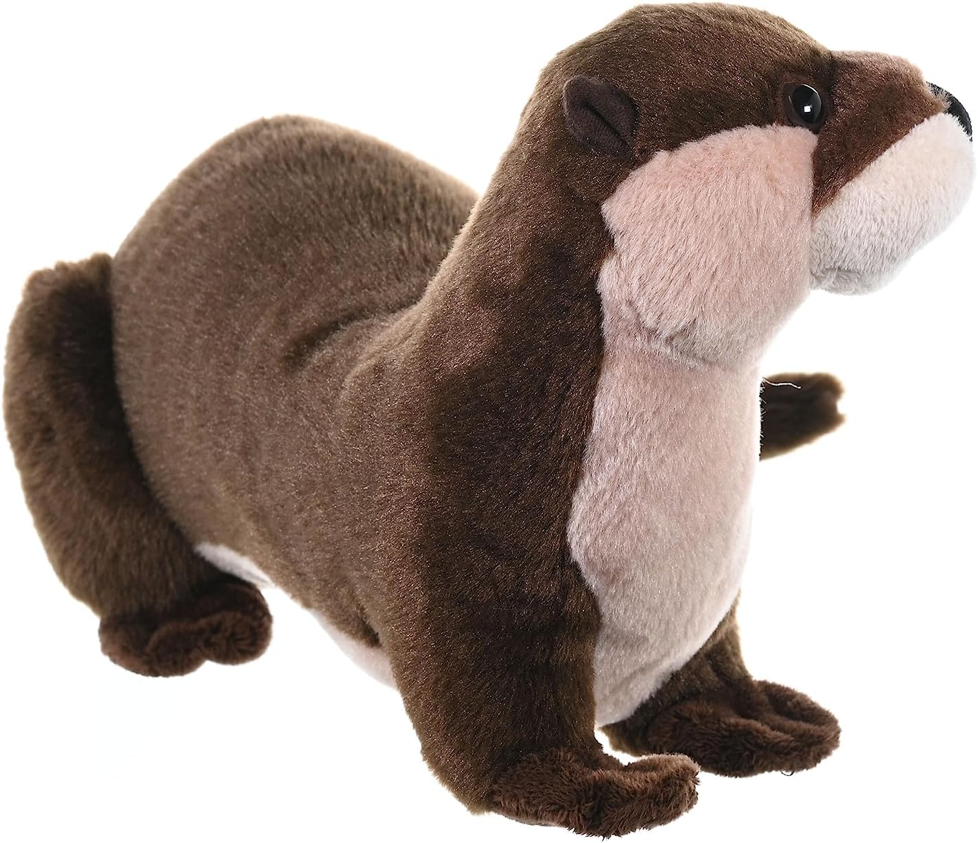 CK River Otter