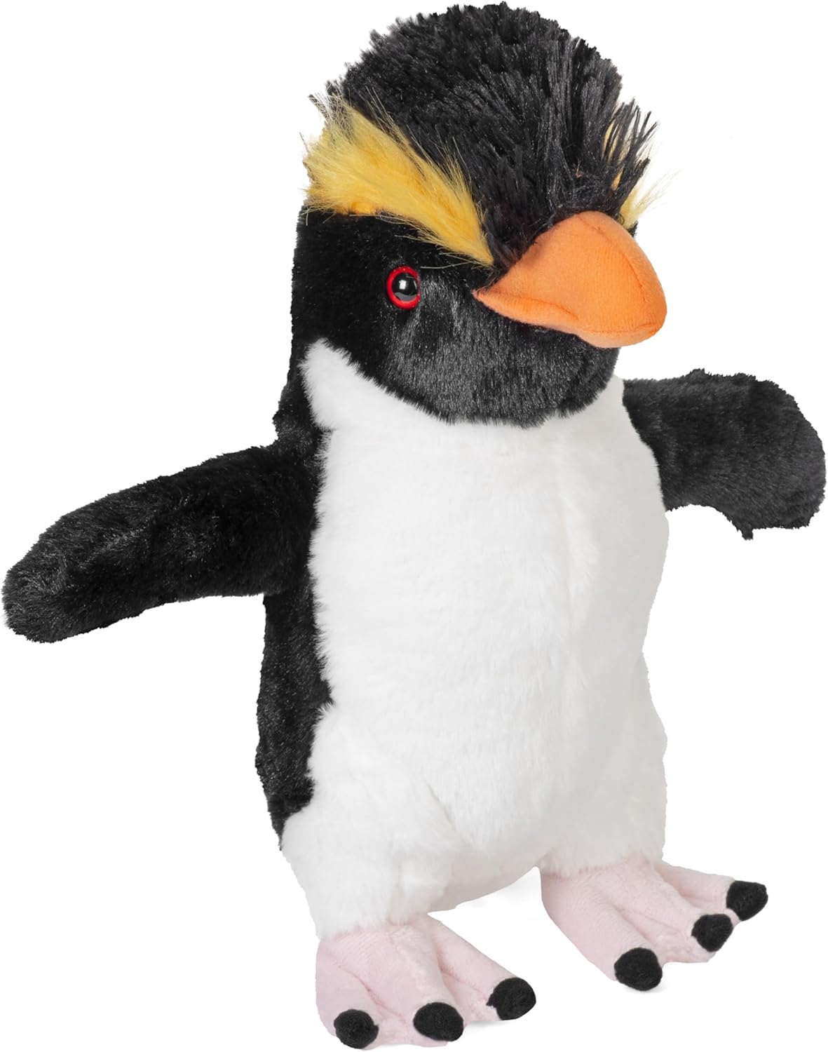 CK Rockhopper Penguin