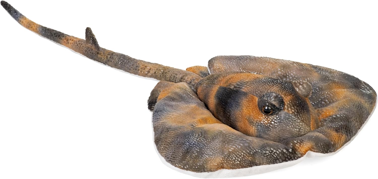 CK Southern Ray