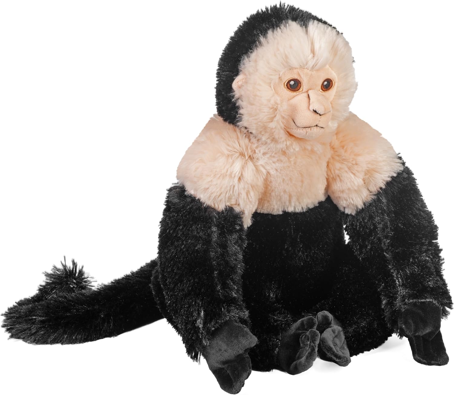 CK-Eco White Faced Capuchin