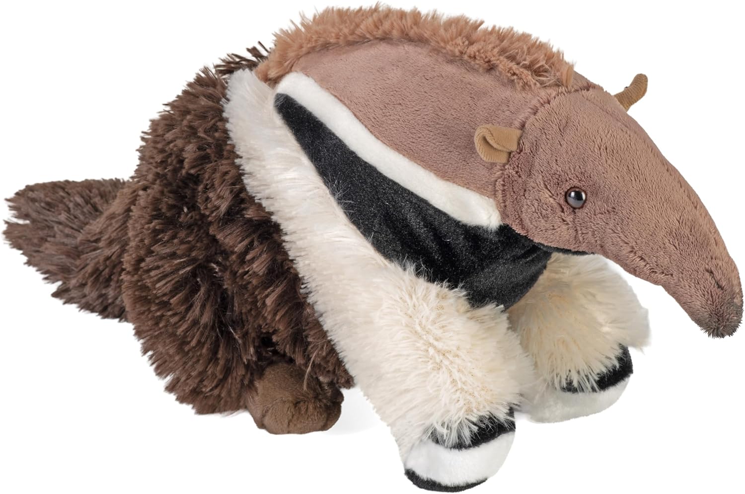 CK Anteater
