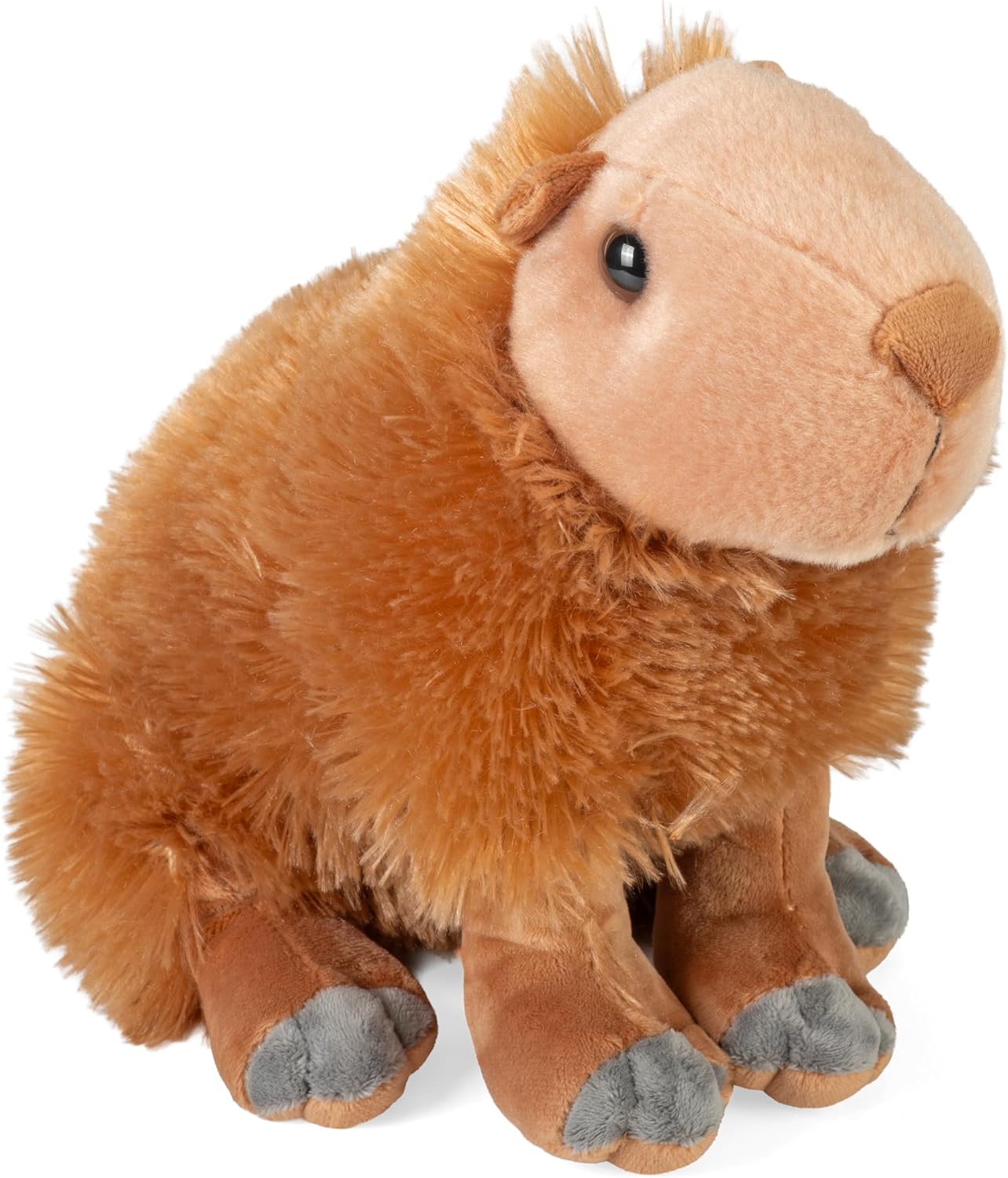 CK Capybara
