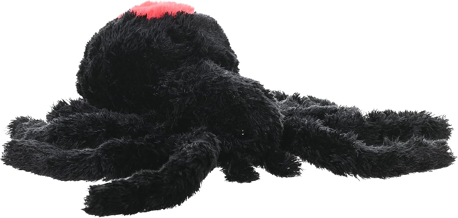 CK Redback Spider