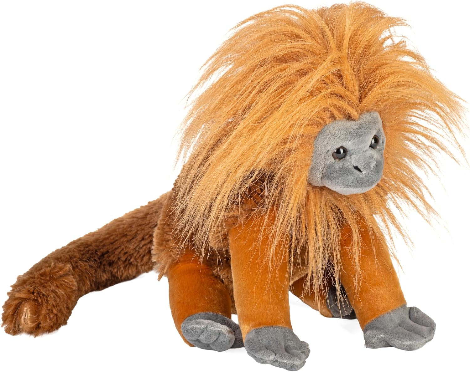 CK Golden Lion Tamarin
