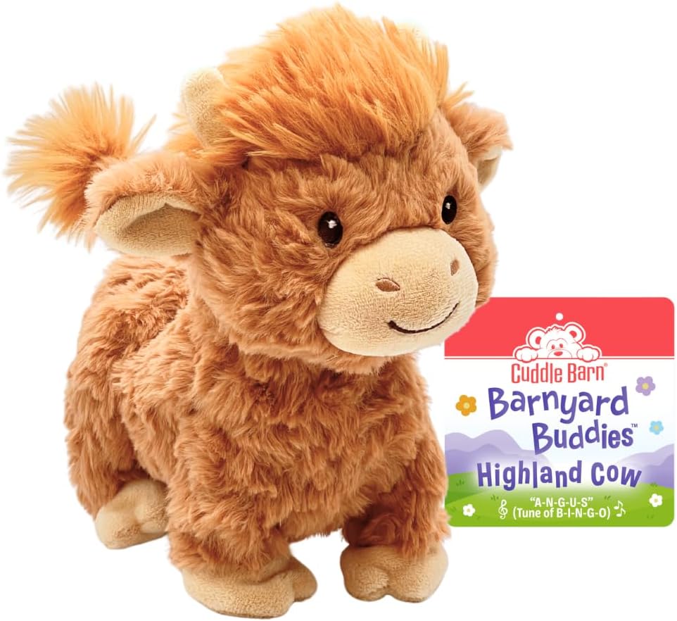 Highland Cow
