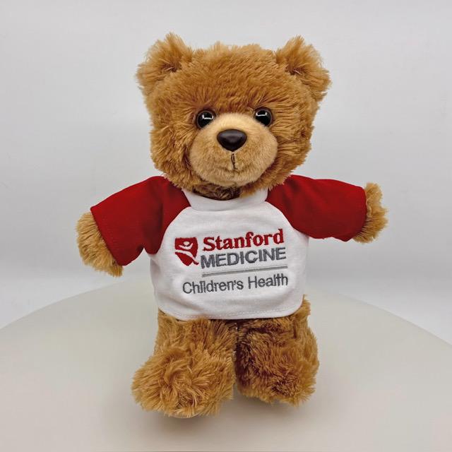 10" Brown Bear with SMCH Shirt