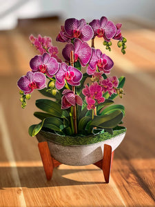 Orchid Oasis Pop-Up Flower Bouquet