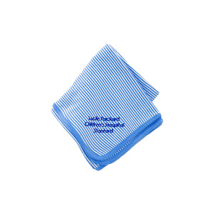 Receiving Blanket LPCH (Blue)